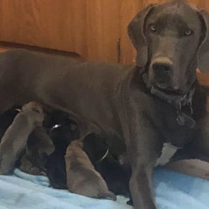 Meet your Posher, Kathy